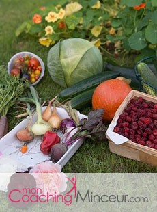 l-impact-des-pesticides-sur-la-sante